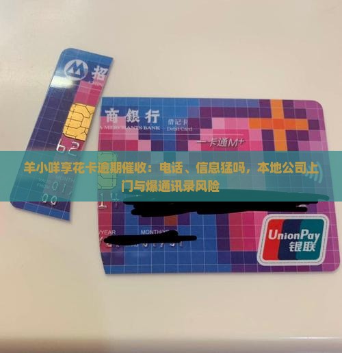 羊小咩享花卡逾期催收
