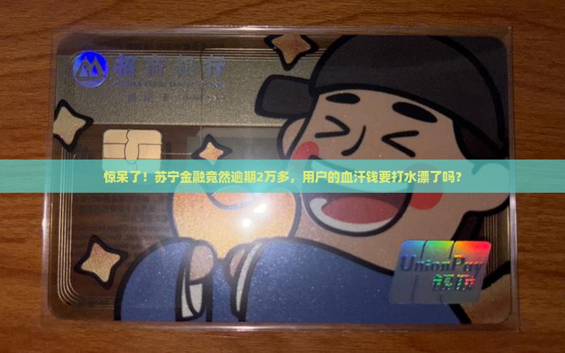 苏宁金融逾期2万多