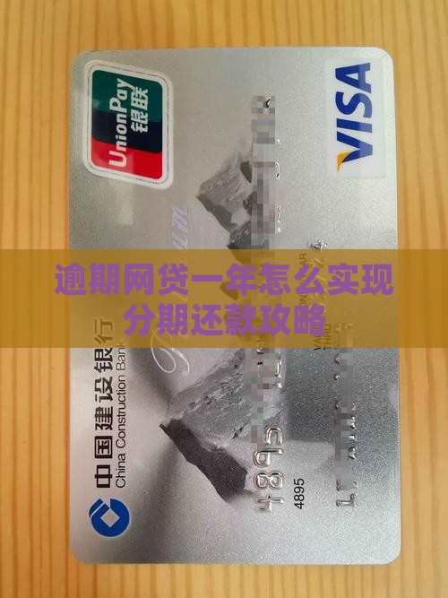 网贷逾期一年如何分期还款