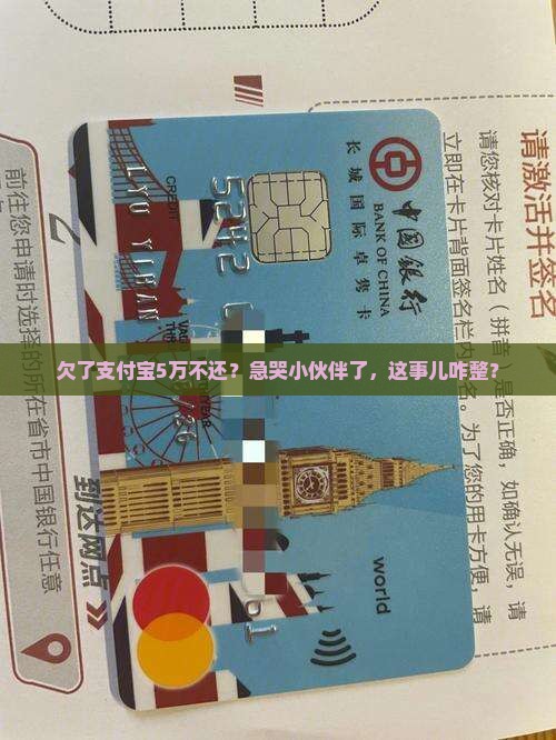 欠了支付宝5万不还如何解决