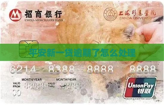 平安新一贷不还款怎么办