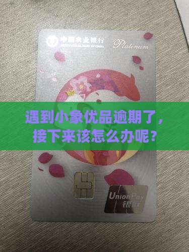 小象优品逾期怎么处理呢