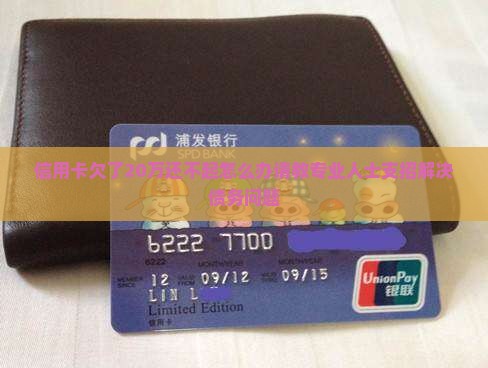 信用卡欠了20万还不起怎么办请教专业人士
