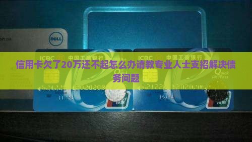 信用卡欠了20万还不起怎么办请教专业人士
