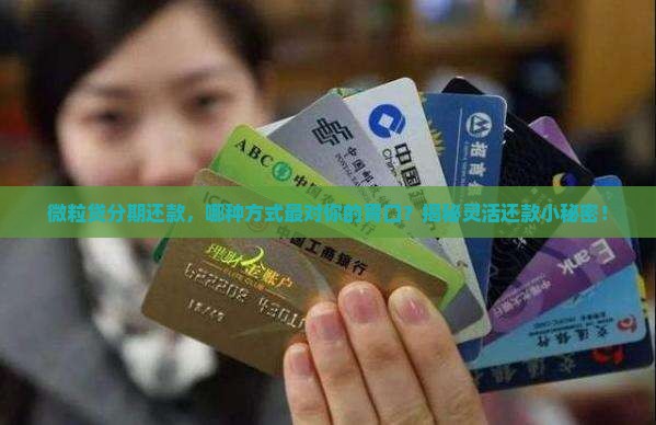 微粒贷可不可以分期还款方式有哪些