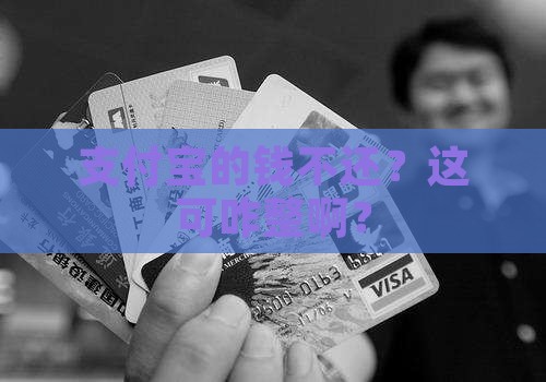 支付宝的钱不还会怎么样啊如何处理
