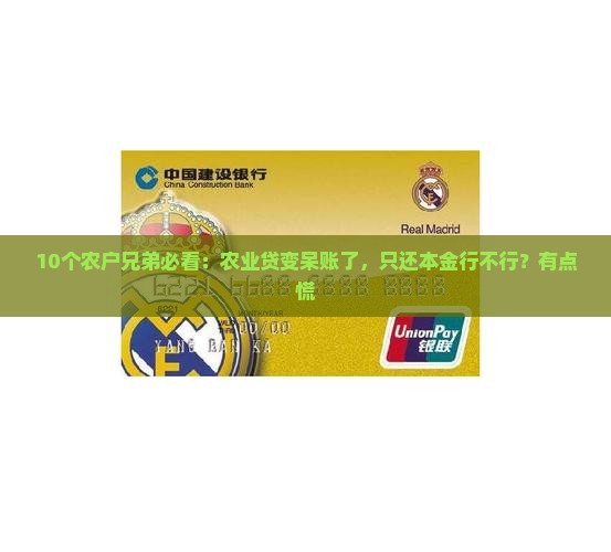 农业贷成呆账只还本金可以吗