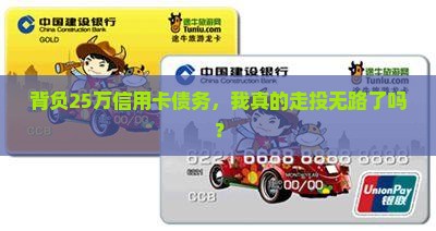 欠信用卡25万元无力偿还