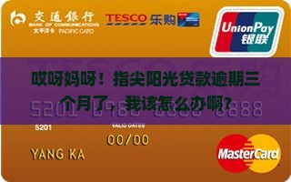 指尖阳光贷款逾期三个月怎么办