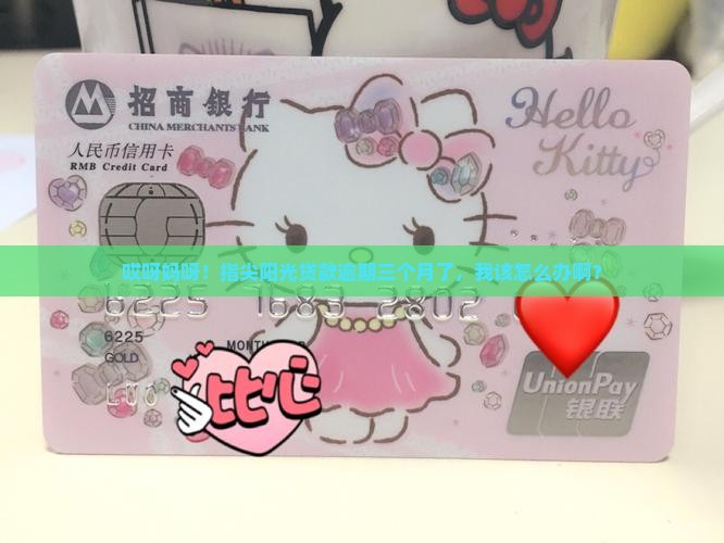 指尖阳光贷款逾期三个月怎么办