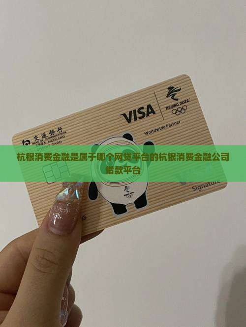 杭银消费金融是属于哪个网贷平台的