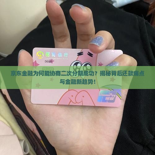 京东金融协商二次分期成功