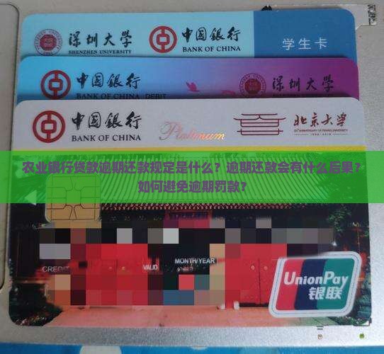 农业银行贷款逾期还款规定