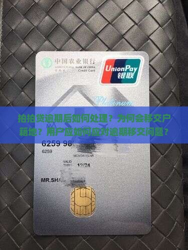 拍拍贷逾期移交户籍地