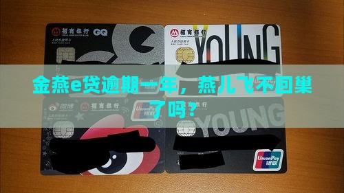 金燕e贷一年逾期了
