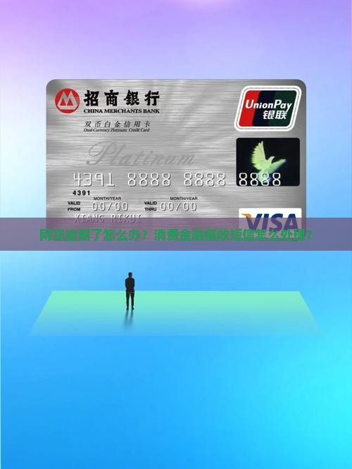 网贷逾期怎么处理消费金融催收短信
