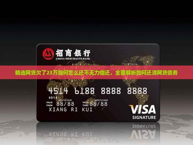 网贷23万如何无力还清