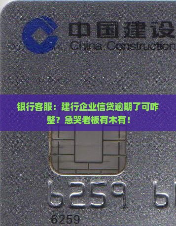建设银行企业信贷逾期怎么处理