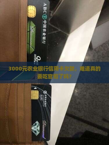 欠农业银行信用卡3000多会起诉吗