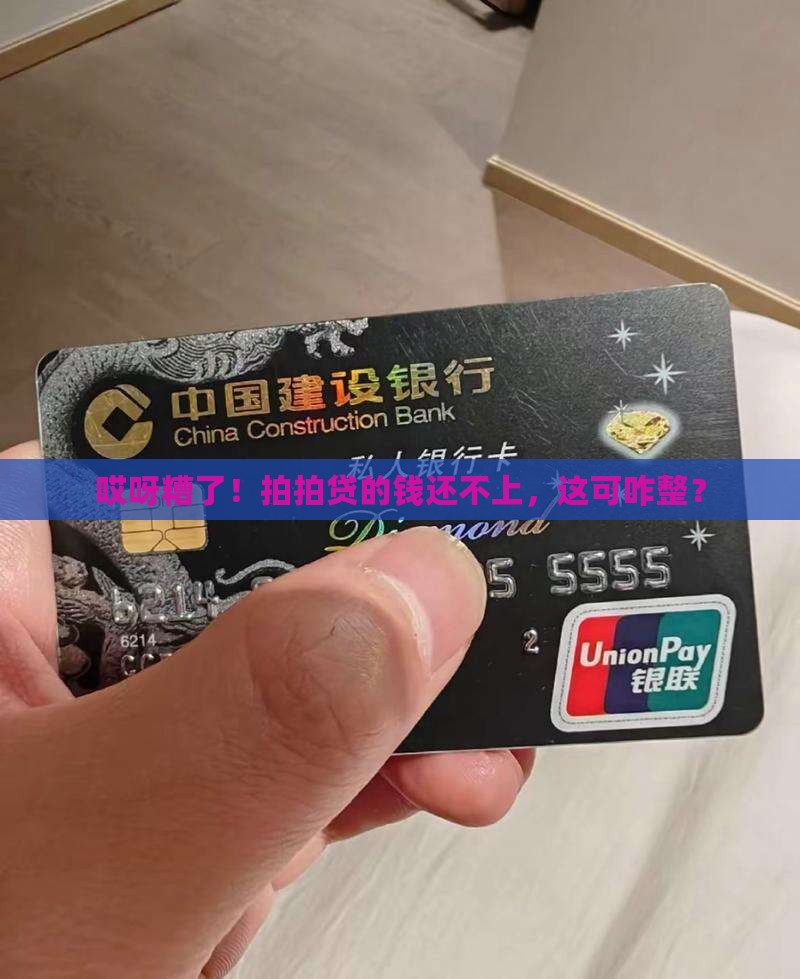 拍拍贷还不起钱怎么办