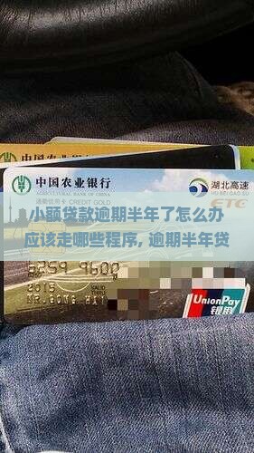 小额贷款逾期半年了怎么办应该走哪些程序