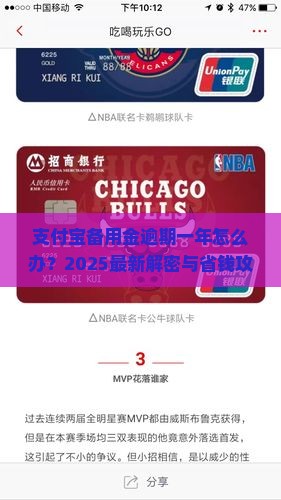 支付宝备用金逾期一年怎么处理