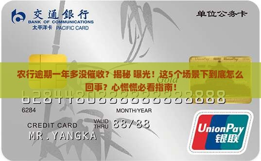 农行逾期一年多没催收