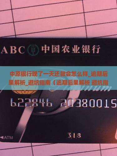 中原银行晚了一天还款会怎么样