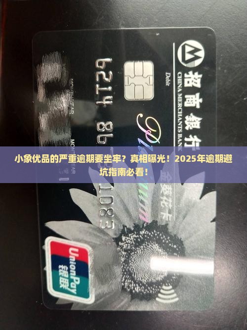 小象优品的严重逾期要坐牢