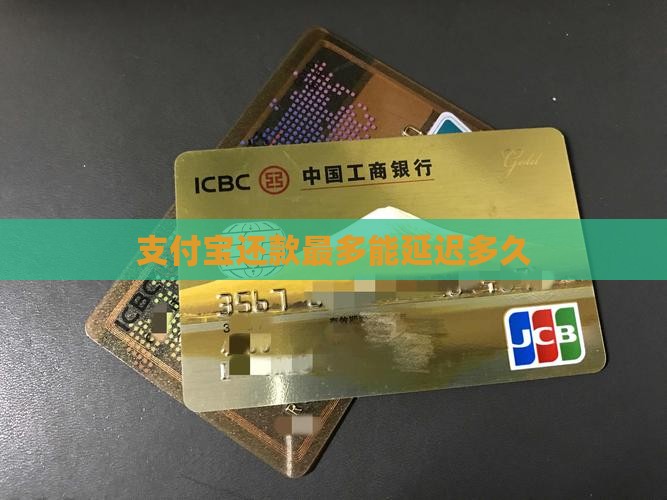 支付宝还款最多能延迟多久