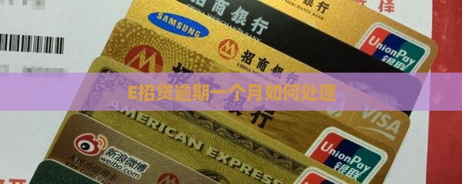 E招贷逾期一个月如何处理