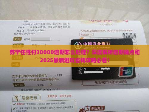 苏宁任性付30000逾期怎么处理