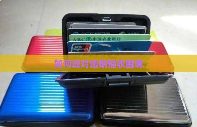 全面逾期如何面对催收困境