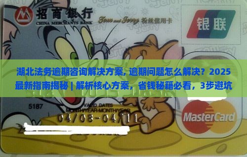 湖北法务逾期咨询解决方案