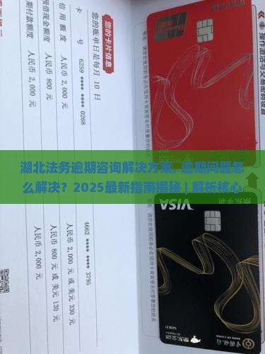 湖北法务逾期咨询解决方案