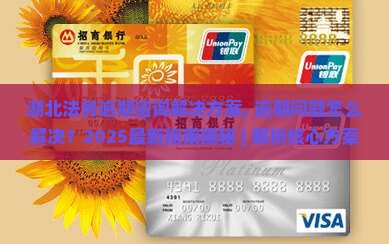 湖北法务逾期咨询解决方案