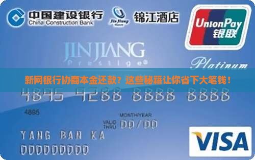新网银行协商本金还款方式
