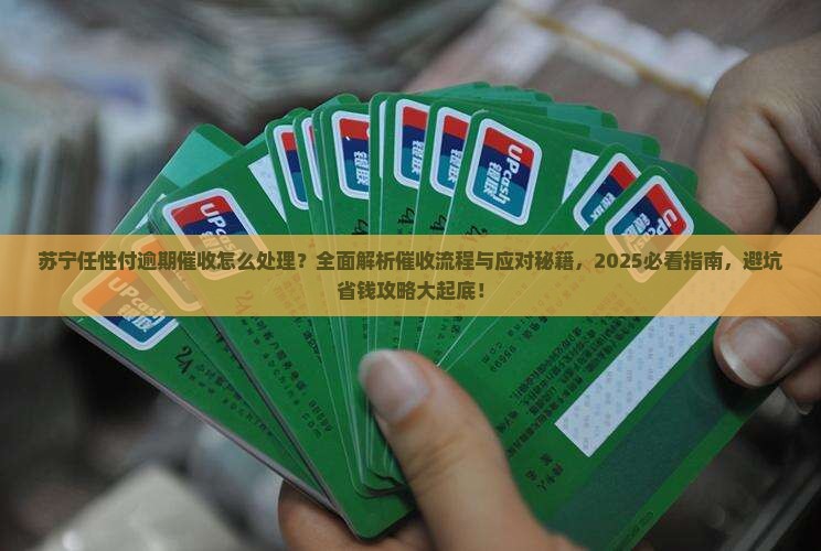 苏宁任性付逾期催收怎么处理