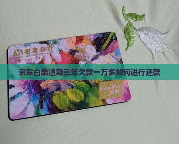 欠京东白条一万多三年如何还款