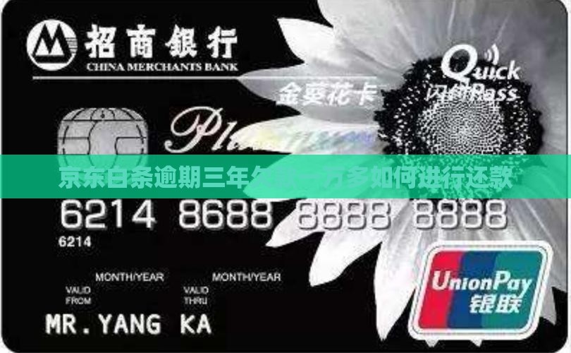 欠京东白条一万多三年如何还款