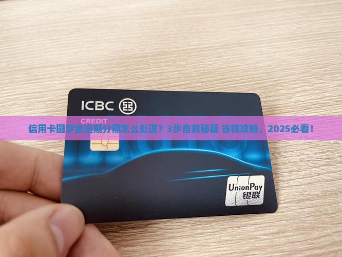 信用卡圆梦金逾期分期怎么处理