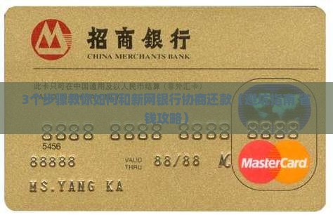 新网银行该怎么协商还款方式