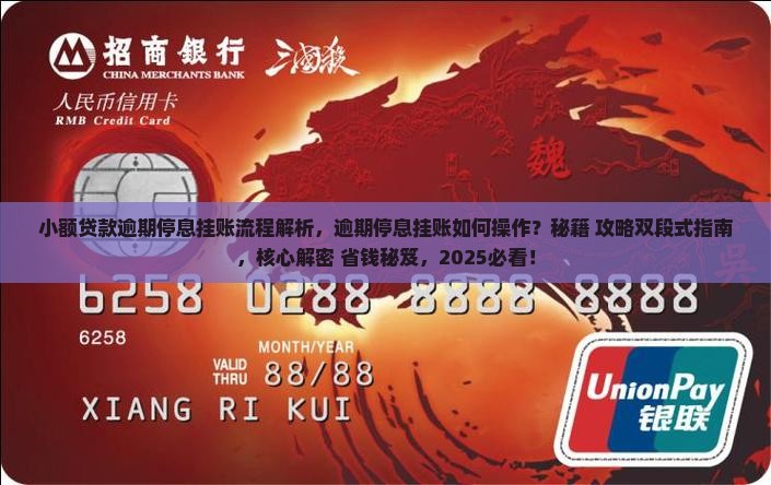 小额贷款逾期停息挂账流程解析 小额贷款逾期停息挂账流程解析