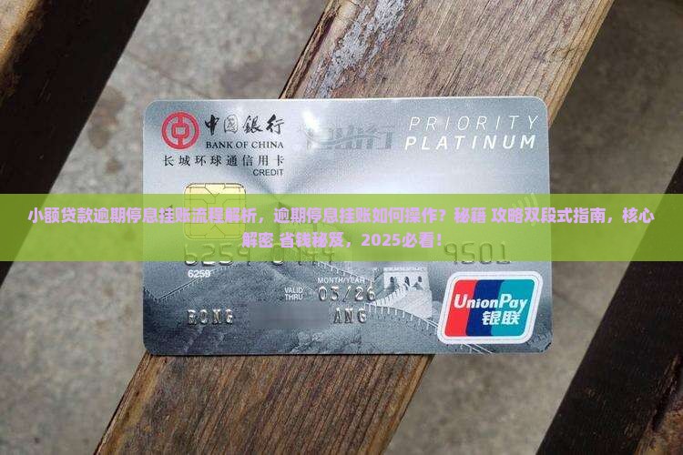 小额贷款逾期停息挂账流程解析 小额贷款逾期停息挂账流程解析