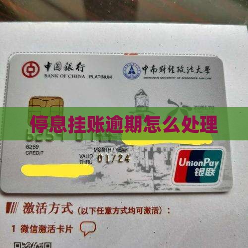 安心花停息挂账如何处理