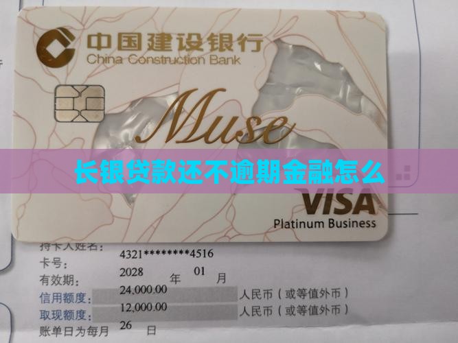长银58贷款还不上不还会怎么样