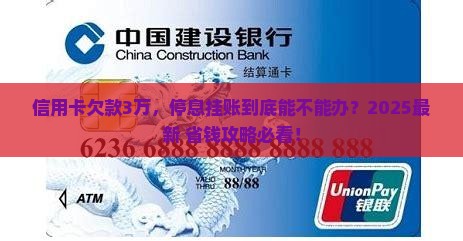 信用卡提出停息挂账可以么