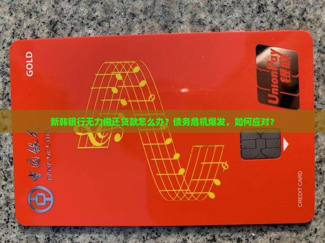 新韩银行无力偿还贷款怎么办