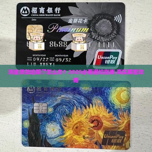 消金贷款已逾期怎么办