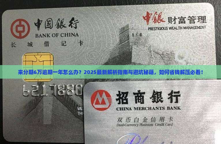 来分期6万逾期一年